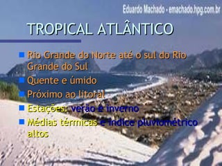 TROPICAL ATLÂNTICO Rio Grande do Norte até o sul do Rio Grande do Sul   Quente e úmido Próximo ao litoral Estações:  verão e inverno Médias térmicas  e índice pluviométrico  altos 
