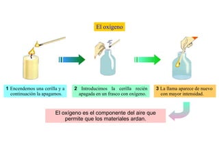 El oxígeno




1 Encendemos una cerilla y a   2 Introducimos la cerilla recién     3 La llama aparece de nuevo
  continuación la apagamos.     apagada en un frasco con oxígeno.     con mayor intensidad.


                       El oxígeno es el componente del aire que
                           permite que los materiales ardan.
 