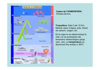 Capes de l’HOMOSFERA: 
Primers 80 Km. 
Troposfera: Dels 0 als 12 Km. 
Mescla vapor d’aigua, pols, diòxid 
de carboni, oxigen, etc. 
És la capa on es desenvolupa la 
vida i on es produeixen els 
fenòmens meteorològics (pluja, 
vent...etc). La temperatura va 
disminuint fins arribar a -60ºC 
 