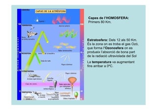 Capes de l’HOMOSFERA: 
Primers 80 Km. 
Estratosfera: Dels 12 als 50 Km. 
És la zona on es troba el gas Ozó, 
que forma l’Ozonosfera on es 
produeix l’absorció de bona part 
de la radiació ultraviolada del Sol 
La temperatura va augmentant 
fins arribar a 0ºC. 
 