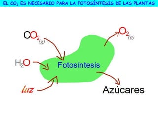 EL CO2 ES NECESARIO PARA LA FOTOSÍNTESIS DE LAS PLANTAS
 
