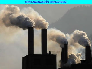 CONTAMINACIÓN INDUSTRIAL
 