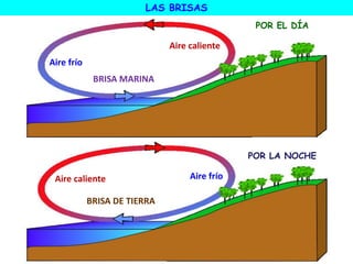 LAS BRISAS
BRISA MARINA
BRISA DE TIERRA
Aire caliente
Aire caliente
Aire frío
Aire frío
POR EL DÍA
POR LA NOCHE
 