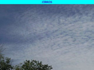 CIRROS
 