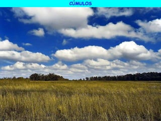 CÚMULOS
 