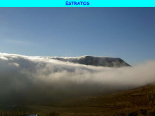 ESTRATOS
 