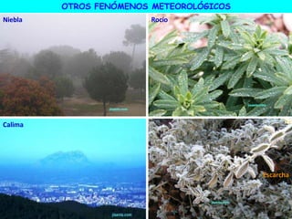 Rocío
Niebla
Escarcha
OTROS FENÓMENOS METEOROLÓGICOS
Calima
 