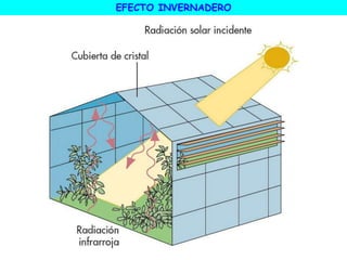 EFECTO INVERNADERO
 
