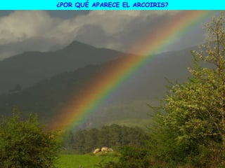¿POR QUÉ APARECE EL ARCOIRIS?
 