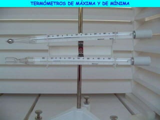TERMÓMETROS DE MÁXIMA Y DE MÍNIMA
 