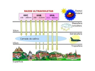 Manter o equilíbrio térmico do planeta; 