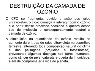 Concentra 75% dos gases e 80% da umidade do ar; 