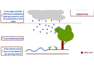 LLUVIAS CONVECTIVAS
Cuando la superficie de la Tierra está muy caliente
por la constante insolación (sobre todo en verano),
el aire que está sobre ella se calienta. El aire
caliente es más ligero que el frío, por lo que
asciende, enfriándose según va ascendiendo
provocando la condensación de la humedad en las
nubes y la precipitación
Esta forma de precipitación es la que se da en
nuestras latitudes en verano. La Tierra se está
calentando durante todo el día lo que provoca un
ascenso rápido de masas de aire y la formación de
nubes del tipo cumulonimbos que producen
precipitaciones
tormentosas
por
la
tarde
(tormentas de verano).

 