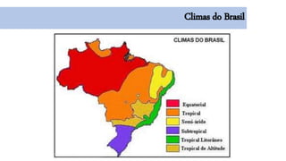 Climas do Brasil
 