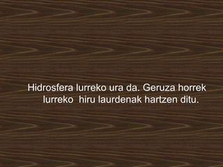 Hidrosfera lurreko ura da. Geruza horrek
lurreko hiru laurdenak hartzen ditu.
 