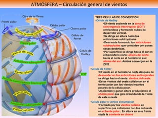 ATMÓSFERA – Circulación general de vientos Célula polar o vórtice circumpolar Formado por los  vientos polares  en superficie que colisionan con los del oeste en  el frente polar  . En altura en este frente sopla la  corriente en chorro Célula de Ferrer El viento en el hemisferio norte después de  descender en los anticiclones subtropicales  se dirige hacia el oeste:  vientos del oeste . Estos vientos del oeste colisionan en el frente polar con los vientos levantes polares de la célula polar. Ascienden y ganan altura produciendo el  chorro polar  que gira circundando la Tierra de este a oeste TRES CÉLULAS DE CONVECCIÓN: Célula de Hadley El viento asciende en la  zona de convergencia Intertropical (ZCIT)  enfriándose y formando nubes de desarrollo vertical. Se dirige en altura hacia los anticiclones subtropicales Desciende formando los  anticiclones subtropicales  que coinciden con zonas secas desérticas. Por superficie se dirige hacia el sur en el hemisferio norte : alisios del norte,  hacia el norte en el hemisferio sur:  alisios del sur . Ambos convergen en la ZCIT 