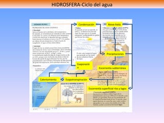 HIDROSFERA-Ciclo del agua Evaporación Condensación Nieve-hielo Escorrentía subterránea Escorrentía superficial ríos y lagos Evapotranspiración Precipitaciones Calentamiento 