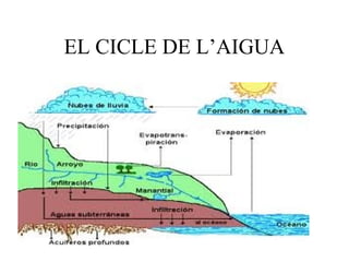 EL CICLE DE L’AIGUA
 