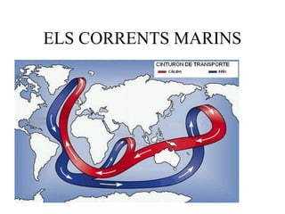 ELS CORRENTS MARINS
 