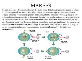 MAREES
Són els ascensos i descensos del nivell del mar a causa de l'atracció gravitatòria que la Lluna
i, en menor grau el Sol, exerceixen sobre l'aigua. Aquests astres provoquen un apilament
d'aigua a la zona oceànica més propera a la Lluna, i també a la zona oposada, perquè en ser
mínima l'atracció gravitatòria, la força centrífuga origina un altre apilament. Això es tradueix
en un ascens del nivell del mar, anomenat marea alta o plenamar. Simultàniament, en els
dos llocs intermedis, i per la manca d'aigua, es produeix un descens del nivell del mar que rep
el nom de marea baixa o baixamar. Degut al moviment de rotació de la Terra, a la majoria
de les poblacions cada dia es produeixen dos ascensos (plenamars) i dos descensos
(baixamars).
 