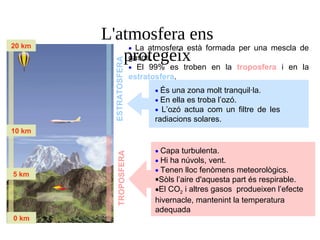 L'atmosfera ens
protegeix
ESTRATOSFERATROPOSFERA
20 km
10 km
5 km
0 km
• La atmosfera està formada per una mescla de
gasos.
• El 99% es troben en la troposfera i en la
estratosfera.
• Capa turbulenta.
• Hi ha núvols, vent.
• Tenen lloc fenòmens meteorològics.
•Sòls l’aire d'aquesta part és respirable.
•El CO2 i altres gasos produeixen l’efecte
hivernacle, mantenint la temperatura
adequada
• És una zona molt tranquil·la.
• En ella es troba l’ozó.
• L’ozó actua com un filtre de les
radiacions solares.
 
