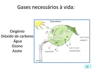 Gases necessários à vida:
Oxigénio
Dióxido de carbono
Água
Ozono
Azoto
 