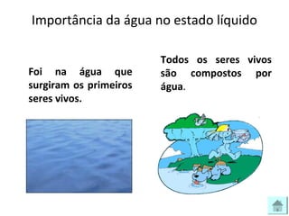 Importância da água no estado líquido
Foi na água que
surgiram os primeiros
seres vivos.
Todos os seres vivos
são compostos por
água.
 