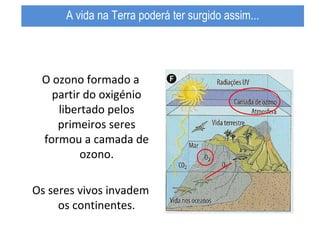 O ozono formado a
partir do oxigénio
libertado pelos
primeiros seres
formou a camada de
ozono.
Os seres vivos invadem
os continentes.
A vida na Terra poderá ter surgido assim...
 