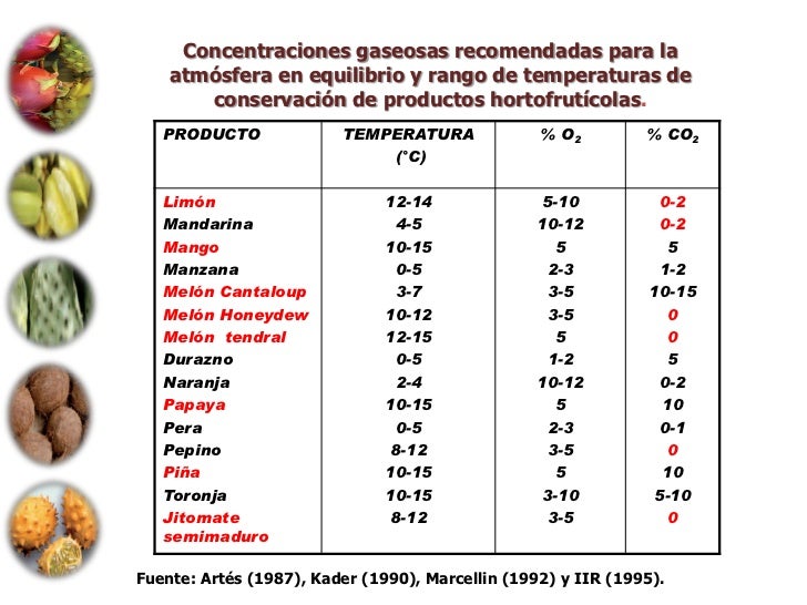 Atmosferas controladas