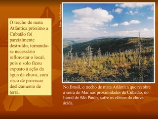 Piotr Ciesla/Keystone
O trecho de mata
Atlântica próximo a
Cubatão foi
parcialmente
destruído, tornando-
se necessário
reflorestar o local,
pois o solo ficou
exposto à ação da
água da chuva, com
risco de provocar
deslizamento de                                No Brasil, o trecho de mata Atlântica que recobre
terra.                                         a serra do Mar nas proximidades de Cubatão, no
                                               litoral de São Paulo, sofre os efeitos da chuva
                                               ácida.
 