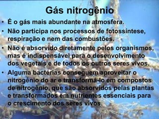 Gás nitrogênio
• É o gás mais abundante na atmosfera.
• Não participa nos processos de fotossíntese,
respiração e nem das combustões.
• Não é absorvido diretamente pelos organismos,
mas é indispensável para o desenvolvimento
dos vegetais e de todos os outros seres vivos.
• Alguma bactérias conseguem aproveitar o
nitrogênio do ar e transformá-lo em compostos
de nitrogênio, que são absorvidos pelas plantas
e transformados em nutrientes essenciais para
o crescimento dos seres vivos.
 
