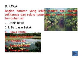 D. RAWA
Bagian daratan yang lebih rendah dari daerah
sekitarnya dan selalu tergenang air serta terdapat
tumbuhan air.
1. Jenis Rawa
1.1. Berdasar Letak
a. Rawa Pantai
b. Rawa Pedalaman
1.2. Kondisi Air
a. Rawa air tetap
b. Rawa ganti air
 