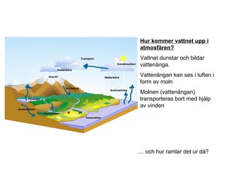 Hur kommer vattnet upp i atmosfären? Vattnet dunstar och bildar vattenånga. Vattenångan kan ses i luften i form av moln Molnen (vattenångan) transporteras bort med hjälp av vinden … och hur ramlar det ur då? 