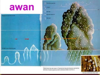 Angin musim timur laut