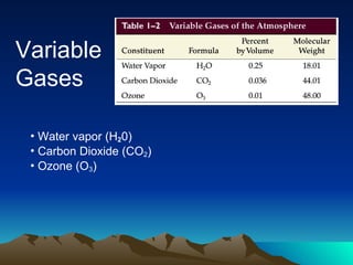 Water vapor (H 2 0) Carbon Dioxide (CO 2 ) Ozone (O 3 ) Variable  Gases 