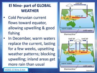 El Nino- part of GLOBAL
WEATHER
• Cold Peruvian current
flows toward equator,
allowing upwelling & good
fishing
• In December, warm waters
replace the current, lasting
for a few weeks, upsetting
weather patterns; blocking
upwelling; inland areas get
more rain than usual
33VIDEO: El Nino 3 min
 