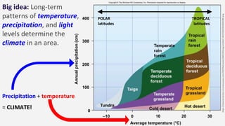 Atmosphere and climate science - MYP Year 4 | PPTX