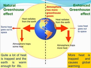 Natural
Greenhouse
effect
More heat is
trapped and
causes global
warming
Atmosphere traps
some heat
Some heat
goes out to
space
Quite a lot of heat
is trapped and the
earth is warm
enough for life.
Enhanced
Greenhouse
effect
Heat radiates
from the earth
Heat radiates
from the earth
Atmosphere
has more
greenhouse
gases
Atmosphere traps
more heat
Less heat
goes out
to space
 