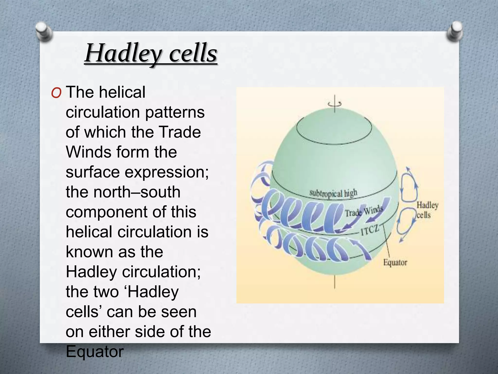Hadley cells
O The helical
circulation patterns
of which the Trade
Winds form the
surface expression;
the north–south
component of this
helical circulation is
known as the
Hadley circulation;
the two ‘Hadley
cells’ can be seen
on either side of the
Equator
 