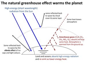 The natural greenhouse effect warms the planet
   High-energy (short wavelength)
       radiation from the Sun
                                         some reflected back
                                         to space by cloud
                                         cover & absorbed by
                                                                 Some heat leaves
                                         the ozone layer
                                                                 atmosphere




                                                        Greenhouse gases (H2O, CO2,
                                                        CH4, NO2, O3), absorb and trap
                                                        some heat. Atmosphere is
                                                        warmed from the ground up.
  Some reflected back
       to space by the
   albedo effect of ice
caps and light colours.
                               Land and oceans absorb high-energy radiation
                               and re-emit as lower energy heat.
 