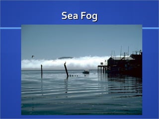 Sea FogSea Fog
 