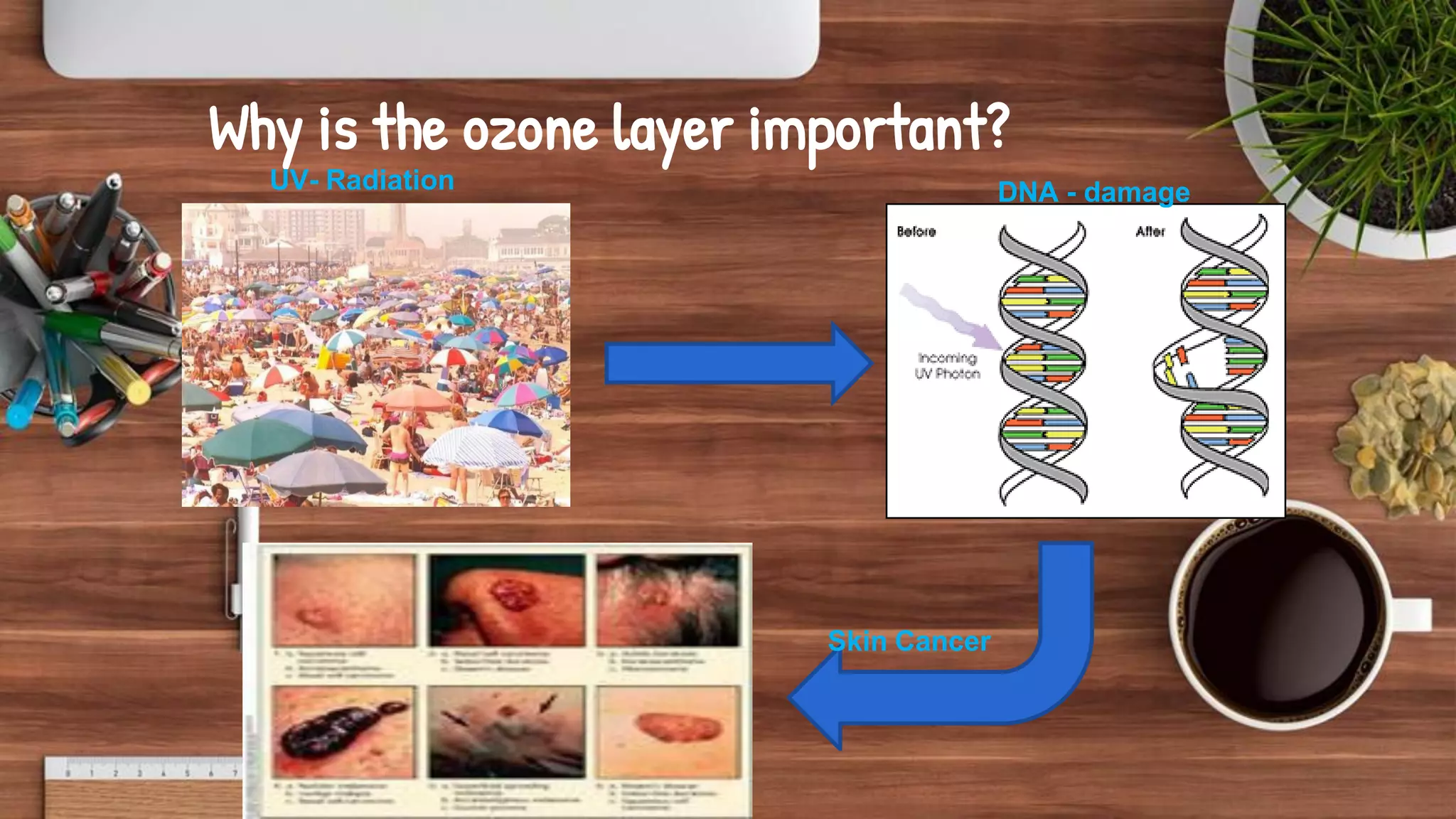 27
Why is the ozone layer important?
UV- Radiation DNA - damage
Skin Cancer
 