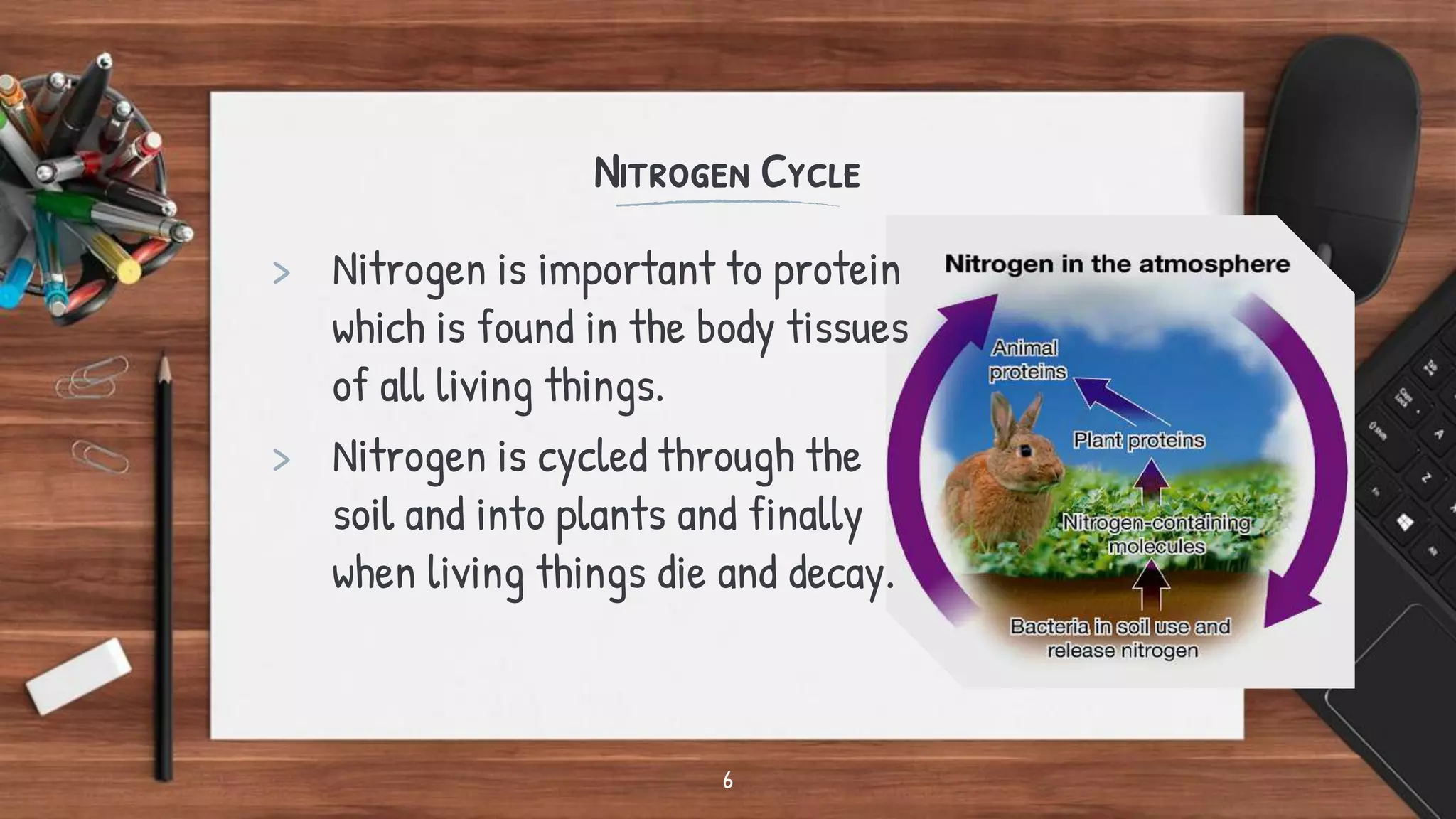 Nitrogen Cycle
> Nitrogen is important to protein
which is found in the body tissues
of all living things.
> Nitrogen is cycled through the
soil and into plants and finally
when living things die and decay.
6
 