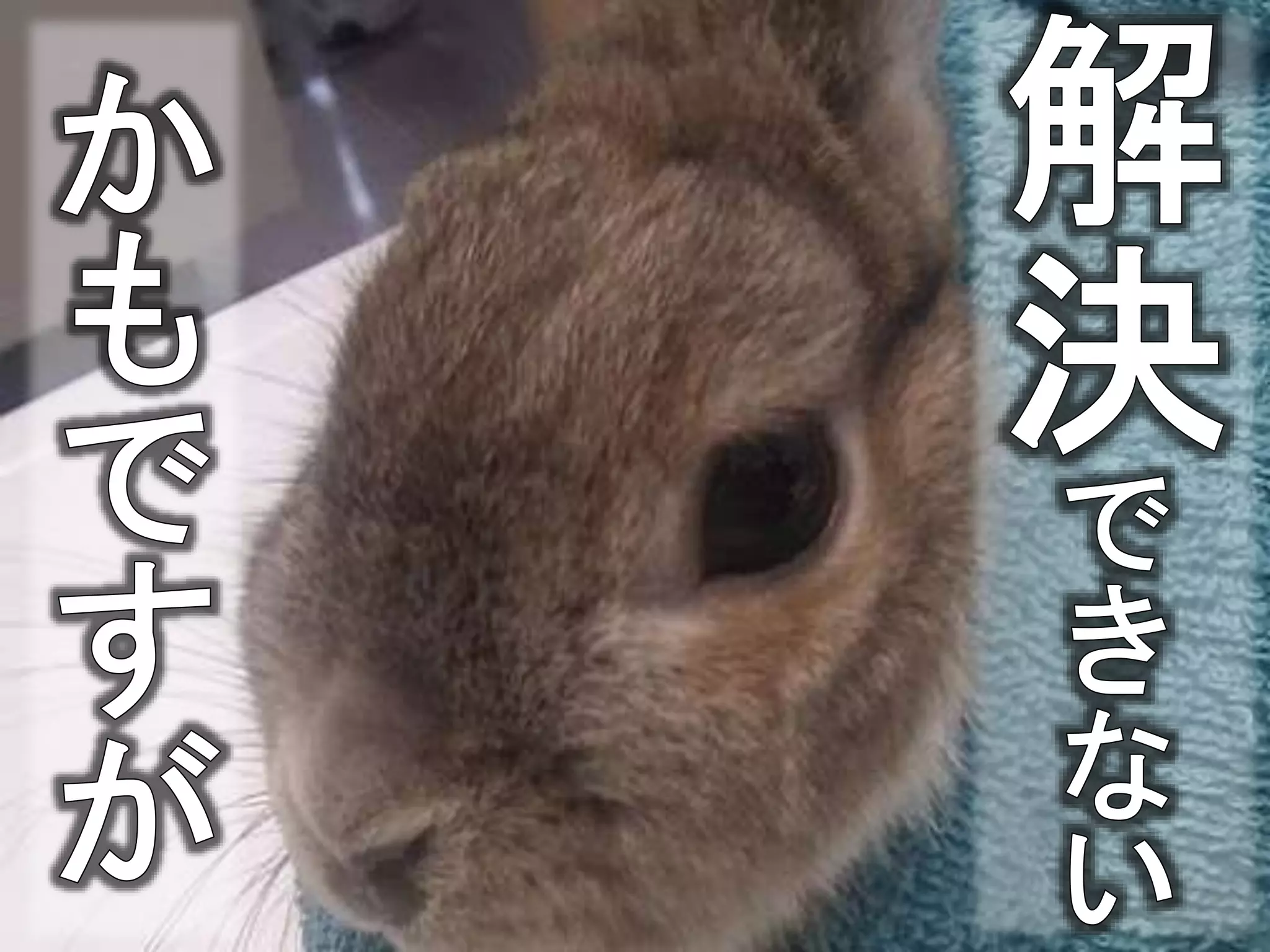 Google Apps Scriptとは? Add-onとは?