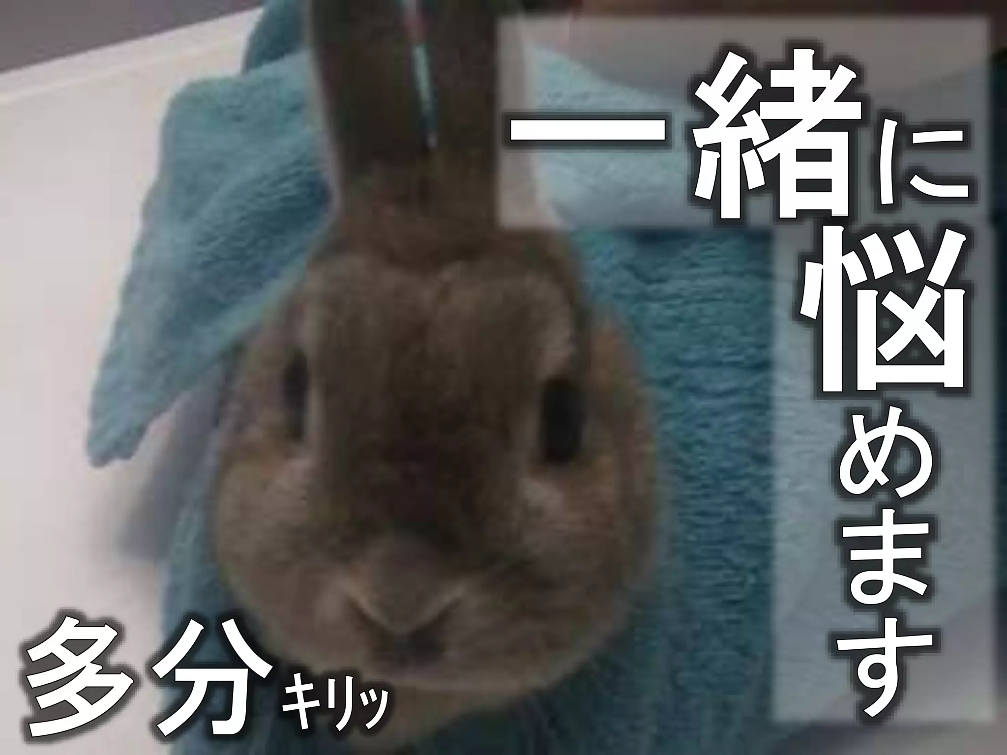 Google Apps Scriptとは? Add-onとは?