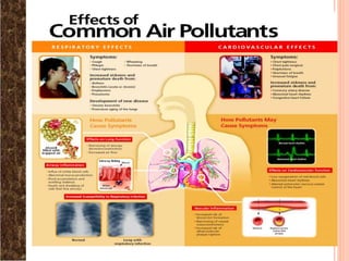 Atmospheric aerosols and air pollution, ozone | PPTX