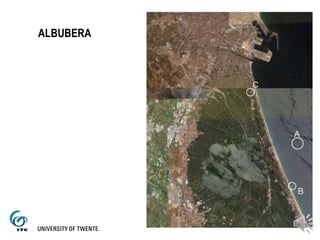 ALBUBERA
 