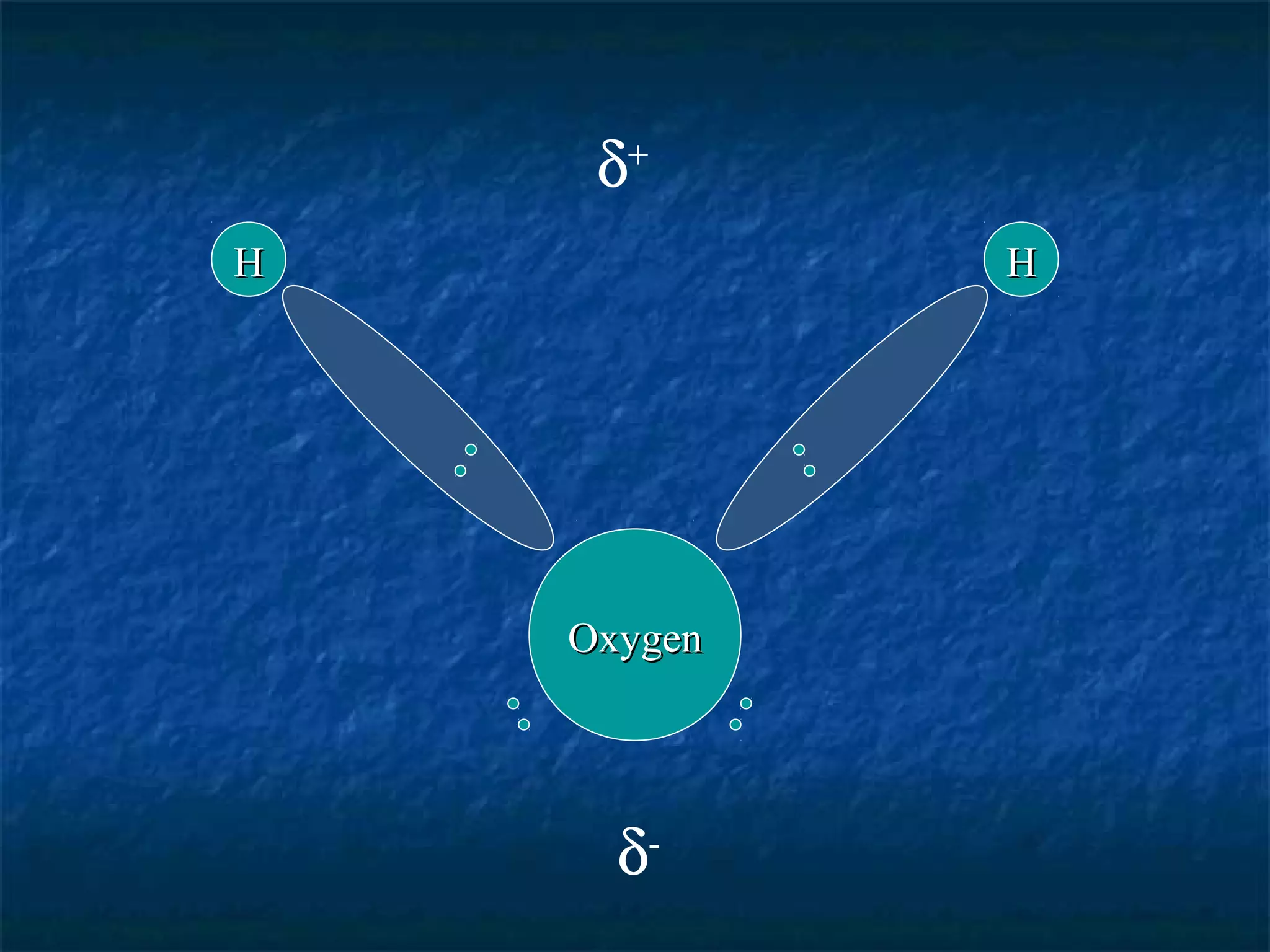 OxygenOxygen
HH HH
δ+
δ-
 
