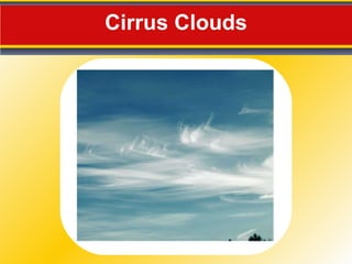 Cirrus Clouds 
