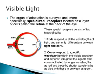 Atmospheric optics | PPTX